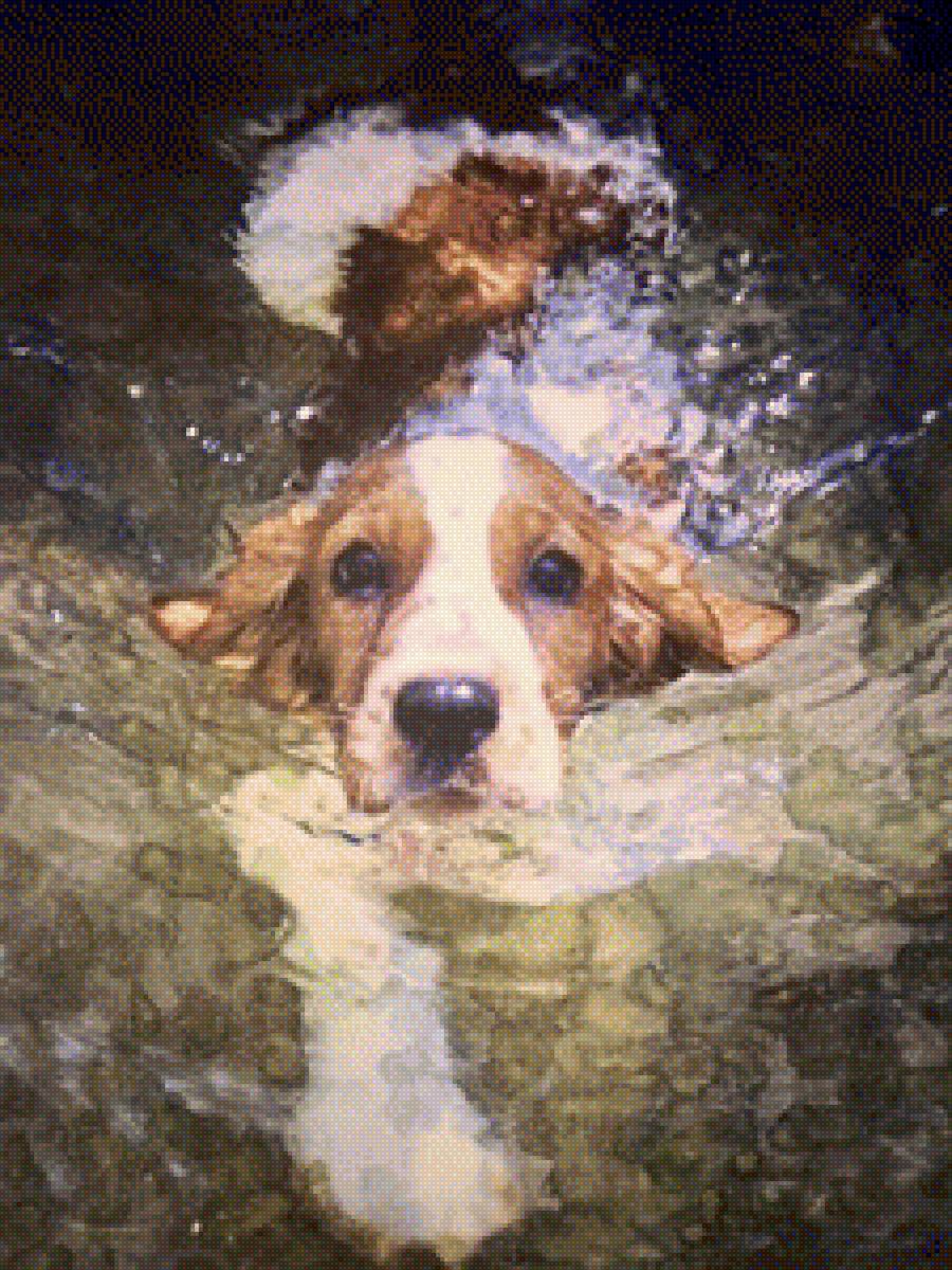 №1575138 - предпросмотр