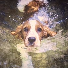 Схема вышивки «№1575138»