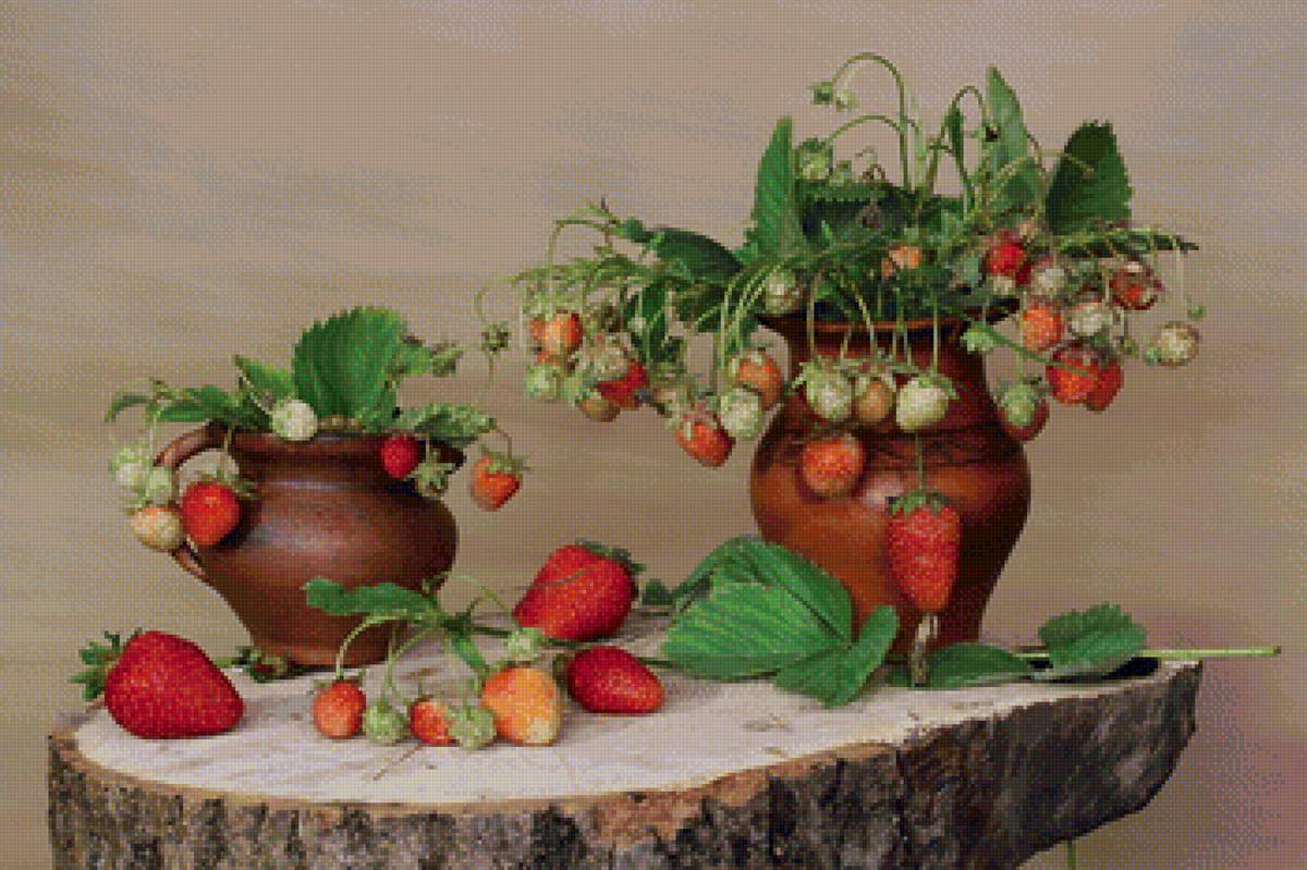 №1575315 - предпросмотр