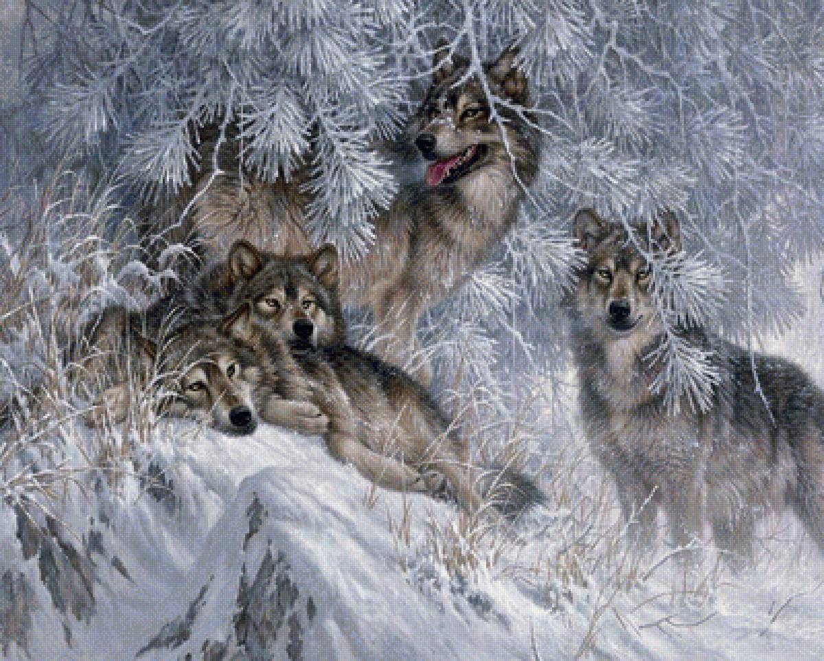 стая - животные, волки, стая, зима - предпросмотр