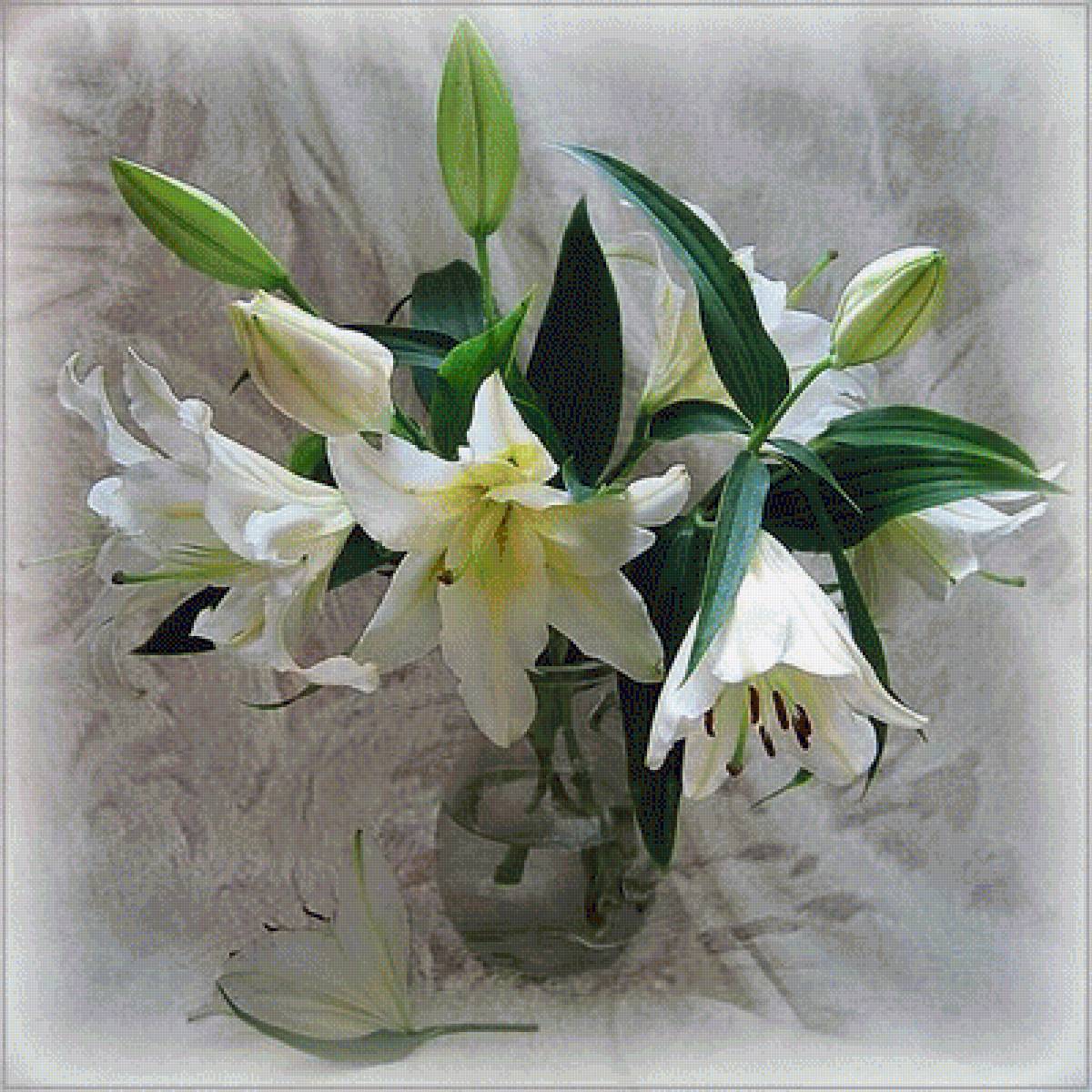 Лилия зимой. Лилия белая. Цветы лилии в вазе. Лилии букет в вазе. Белые лилии в вазе.