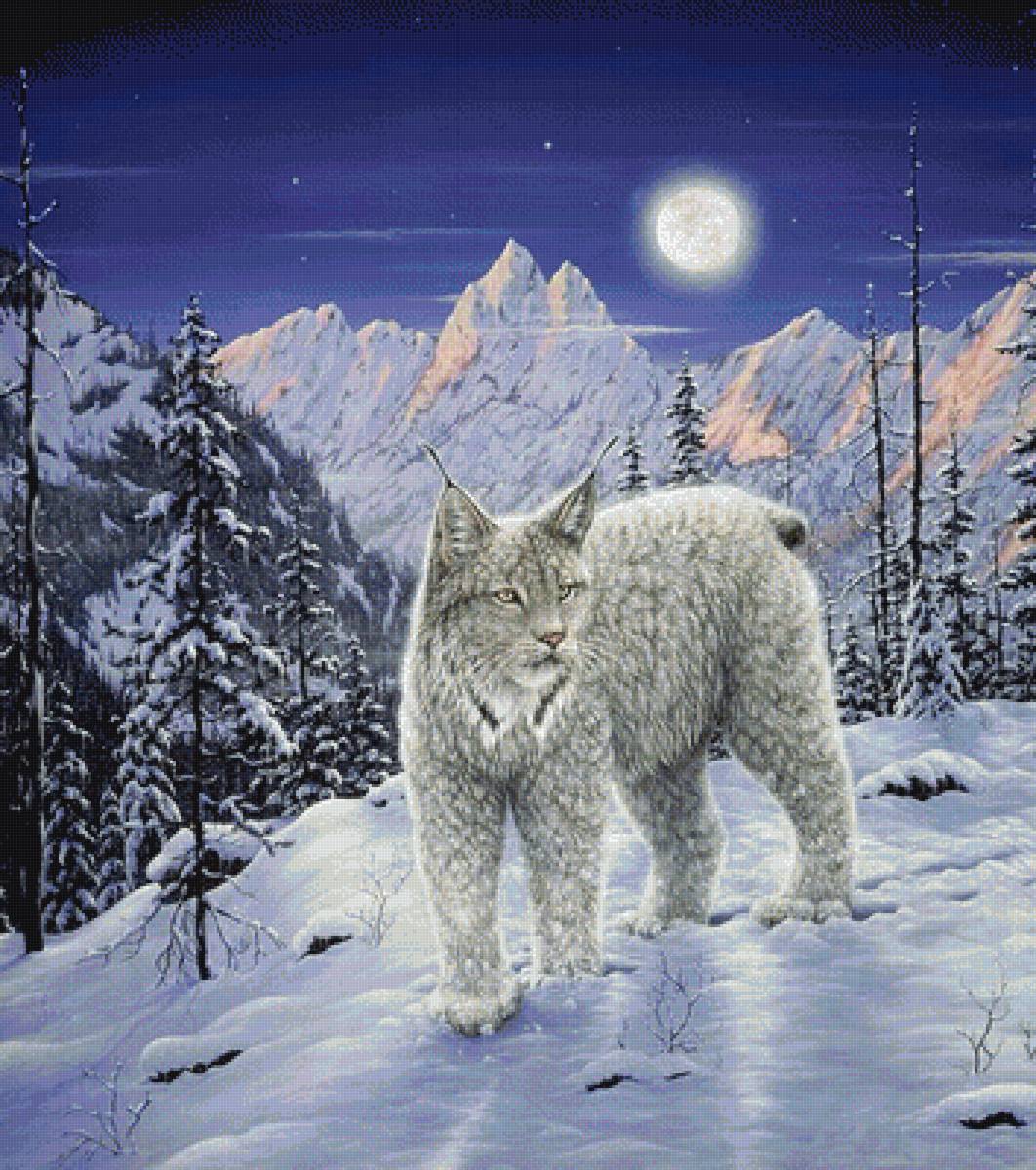 Рысь - животные - предпросмотр