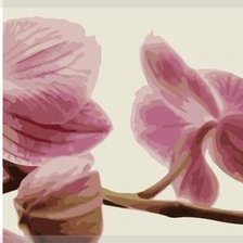 Схема вышивки «орхидея»