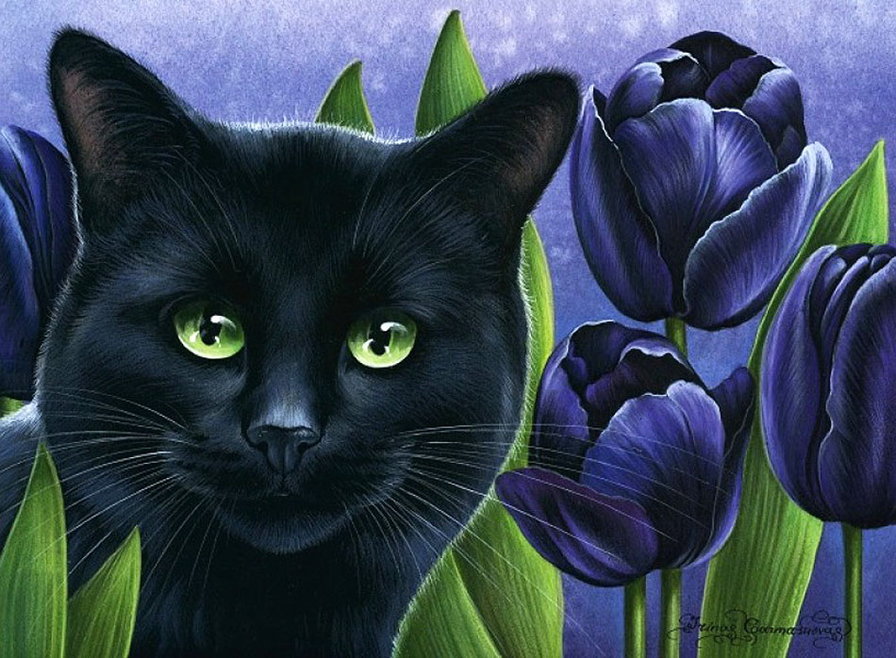 Кот - животные - оригинал