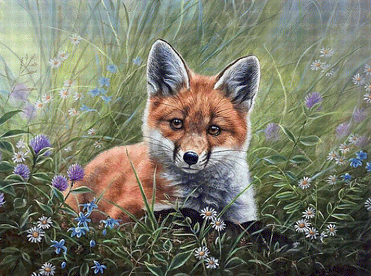 №1577104 - предпросмотр