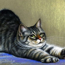 Схема вышивки «Кот»