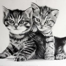 Схема вышивки «Котики»