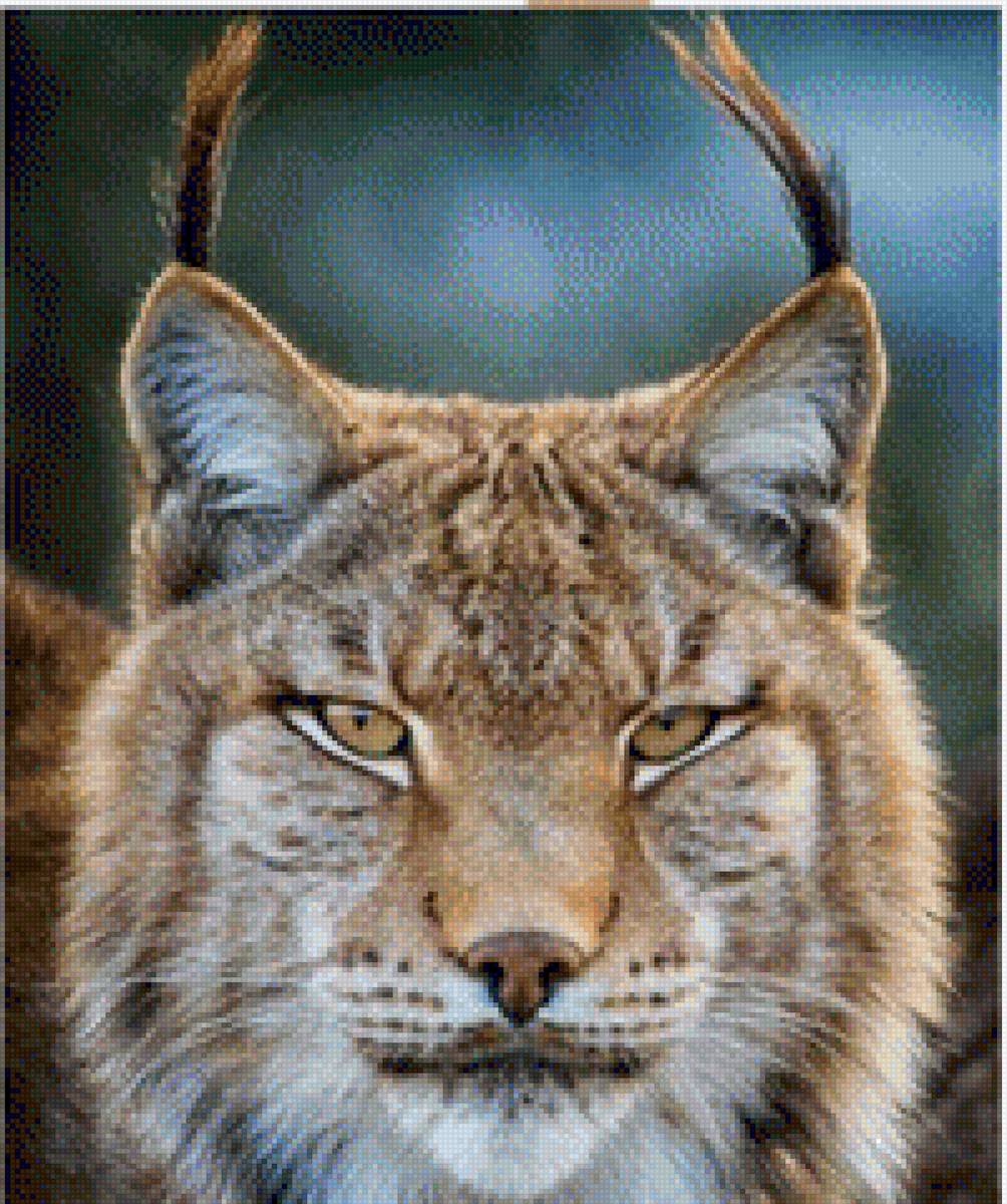 Rosa mari ap - lince - предпросмотр