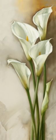 KАЛЛЫ - kаллы - оригинал