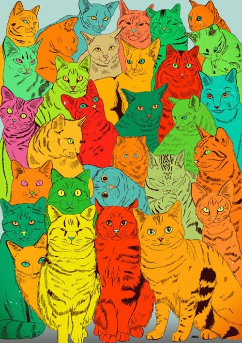 много котов - оригинал