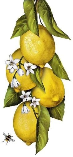 Лимоны - вышивка крестиком - оригинал