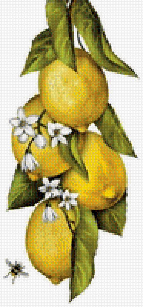 Лимоны - вышивка крестиком - предпросмотр