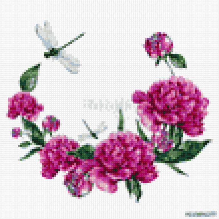 пионы венок и стрекозы - цветы, насекомые, стрекозы, пионы - предпросмотр