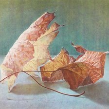 Схема вышивки «№1579181»