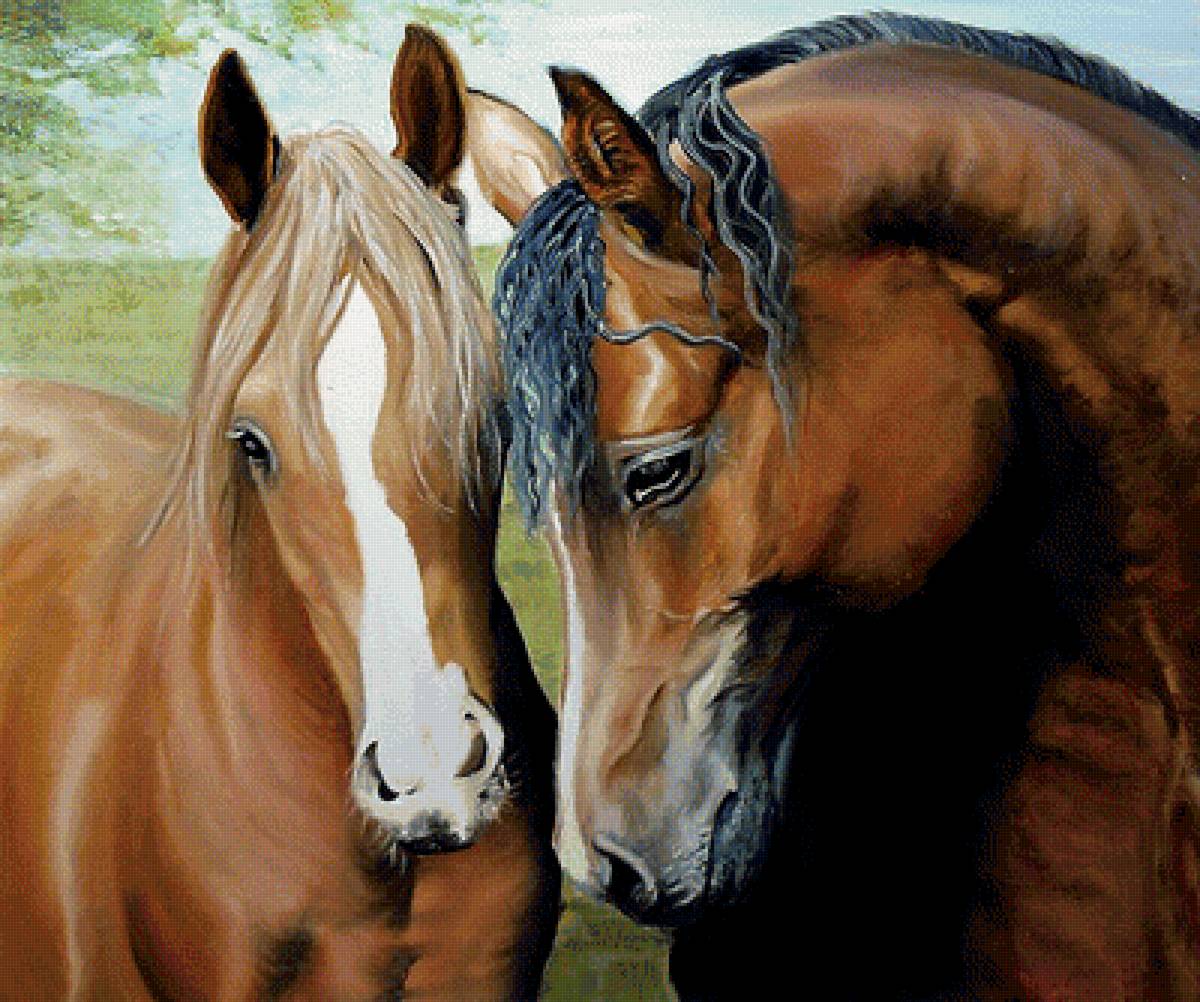 Лошадь с 2 девушками. Две лошади. Любовь лошадей. Картина лошади. Пара лошадей.