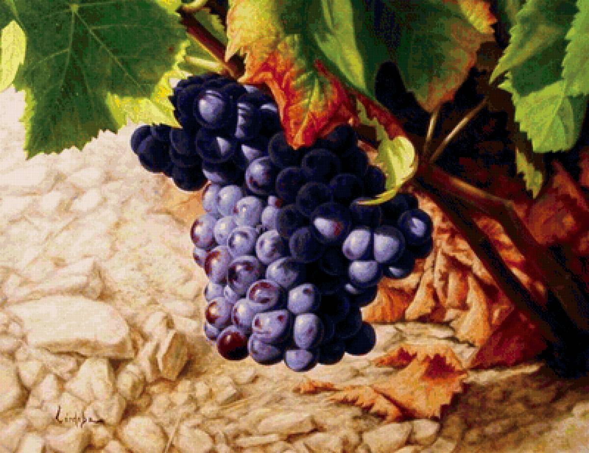 №1579844 - предпросмотр