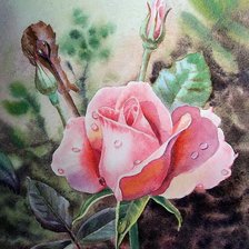 Схема вышивки «№1580092»