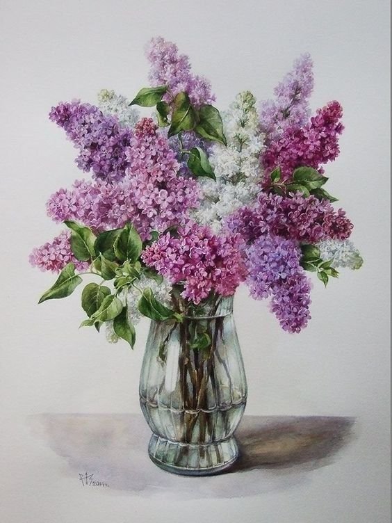 СИРЕНЬ - сирень - оригинал