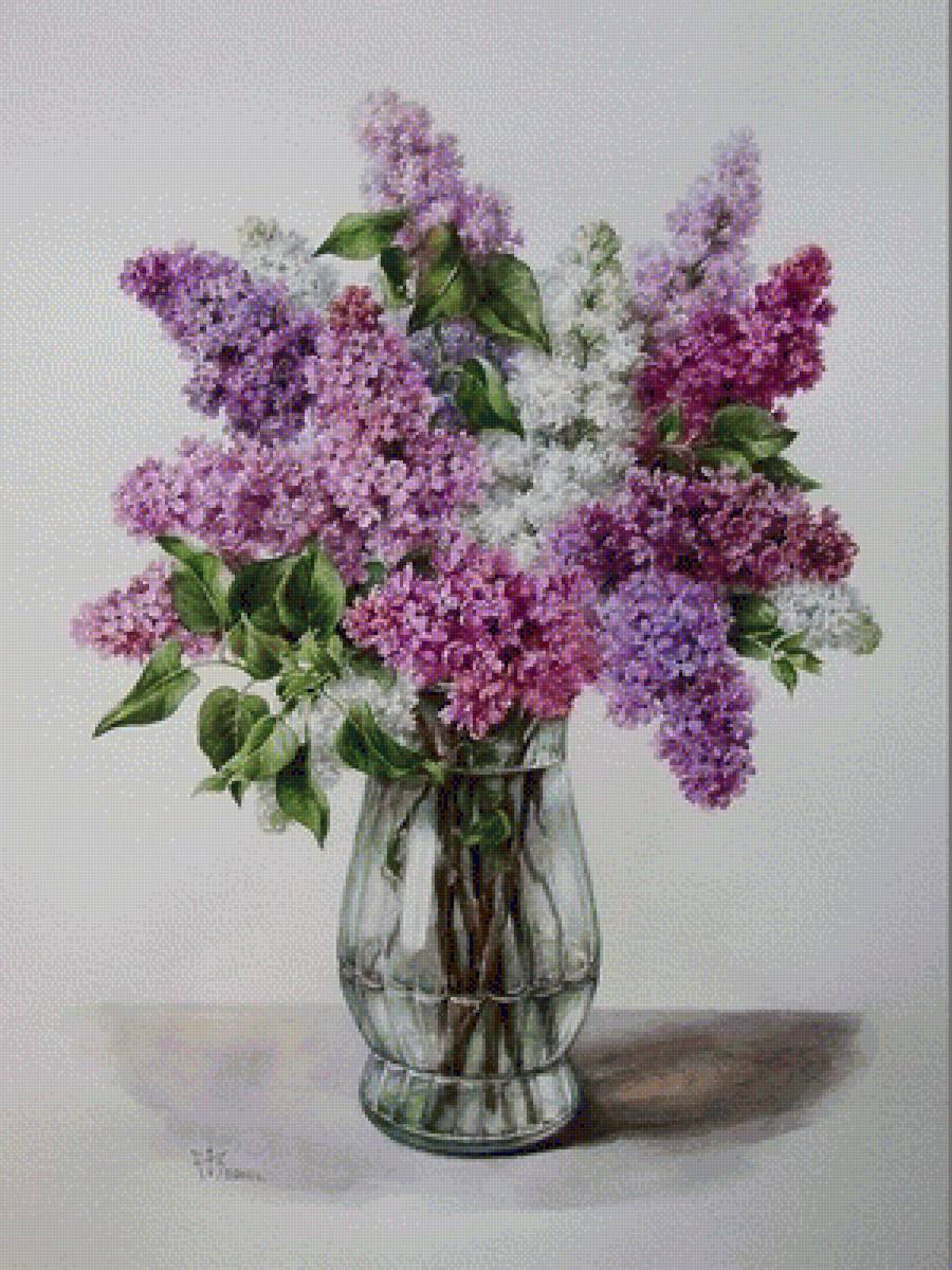 СИРЕНЬ - сирень - предпросмотр