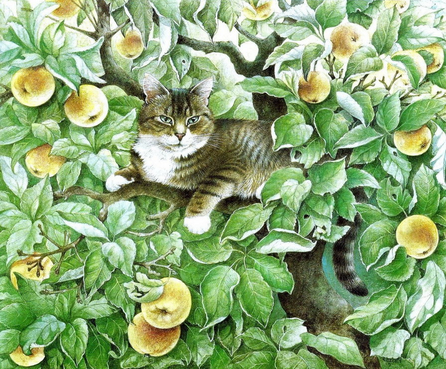 Кот - животные - оригинал