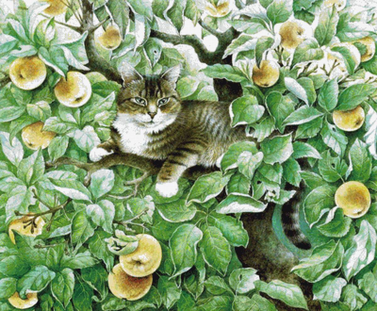 Кот - животные - предпросмотр