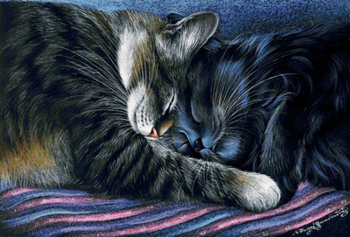 Коты - животные - предпросмотр