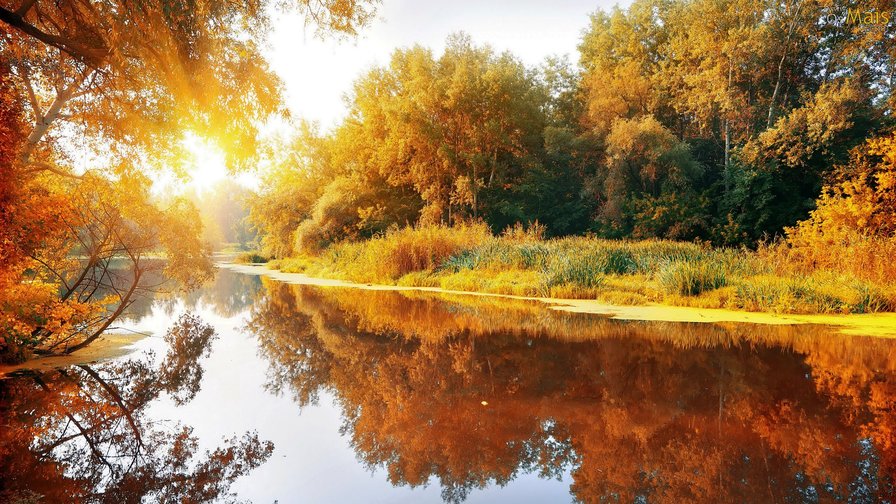 Золотая осень - золотая, осень, река - оригинал