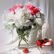 Схема вышивки «Пионы»