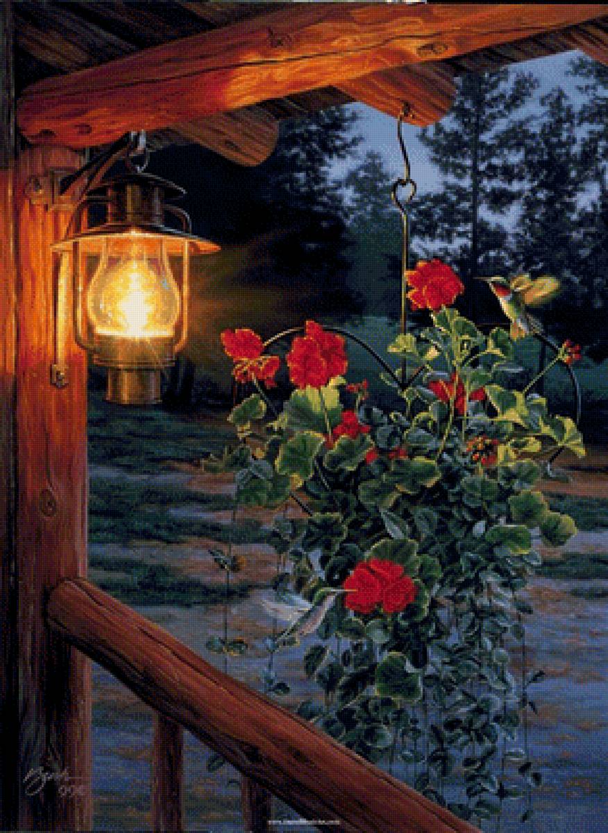 Летний вечер - природа, лампа, цветы, лето, вечер - предпросмотр