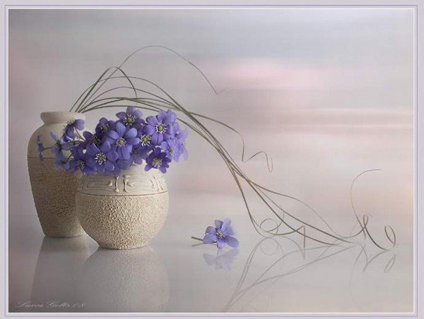 НАТЮРМОРТ С ЦВЕТАМИ - натюрморт с цветами. luiza-gelts - оригинал