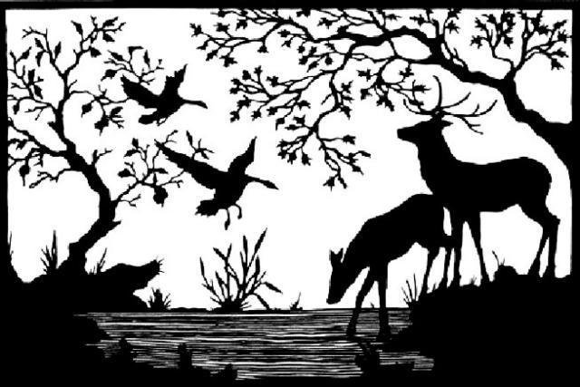 Олени - олени, черное, животные - оригинал