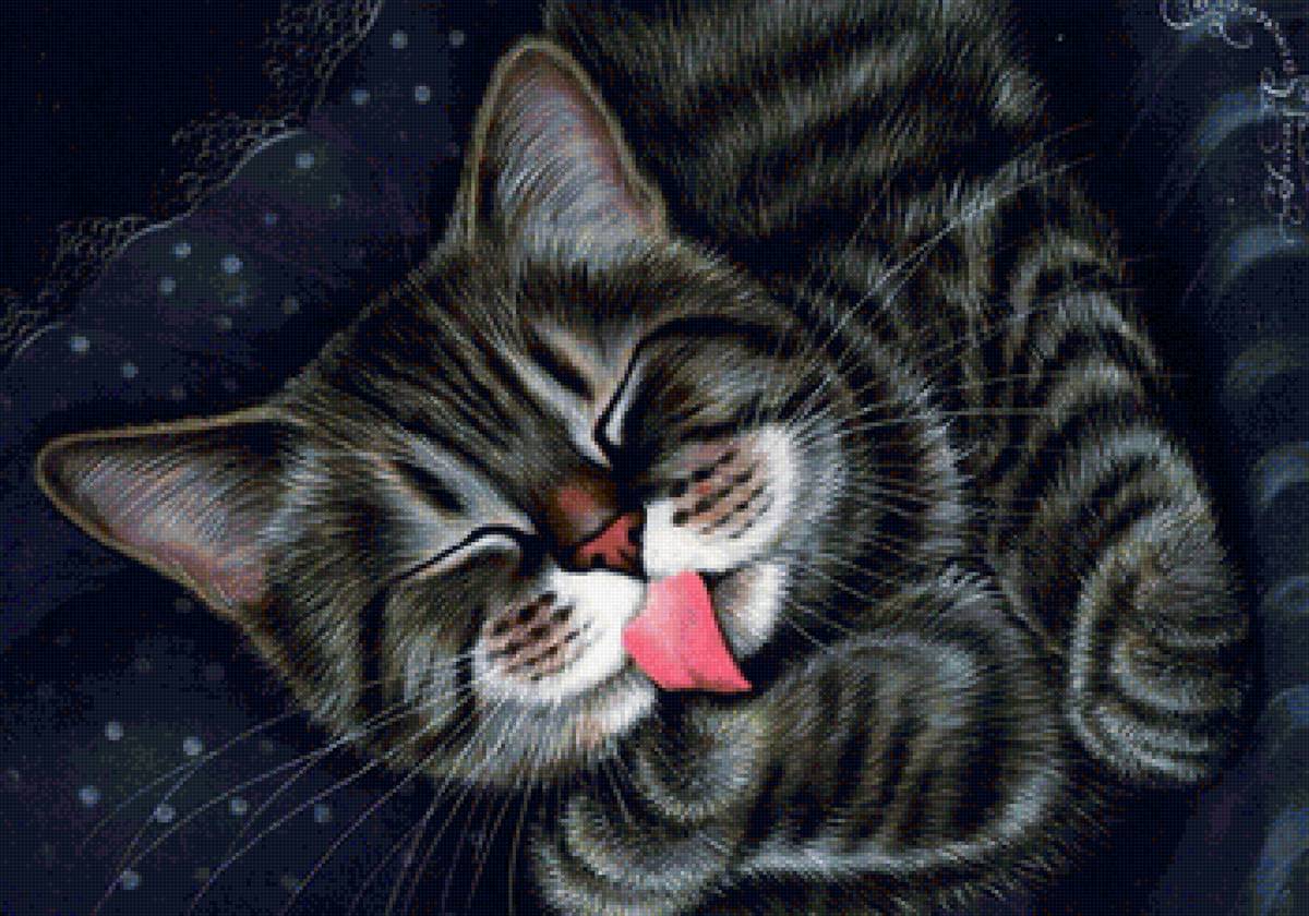 Кот - животные - предпросмотр