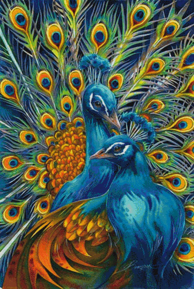 Павлины - птицы, павлины - предпросмотр