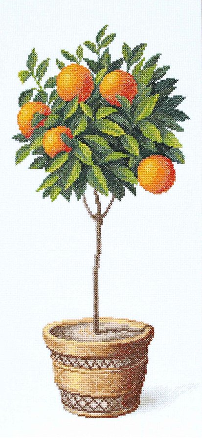 Апельсиновое дерево - оригинал