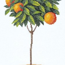 Оригинал схемы вышивки «Апельсиновое дерево» (№1583723)