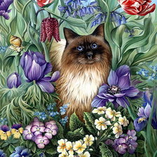 Схема вышивки «Кот»