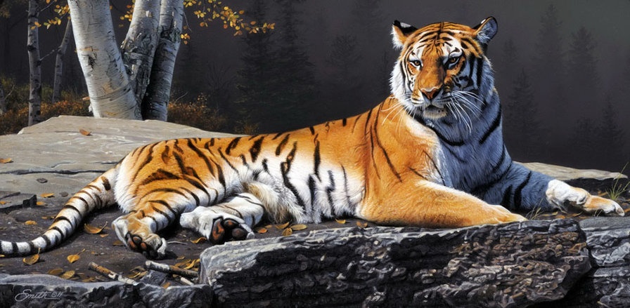 Тигр - животные - оригинал