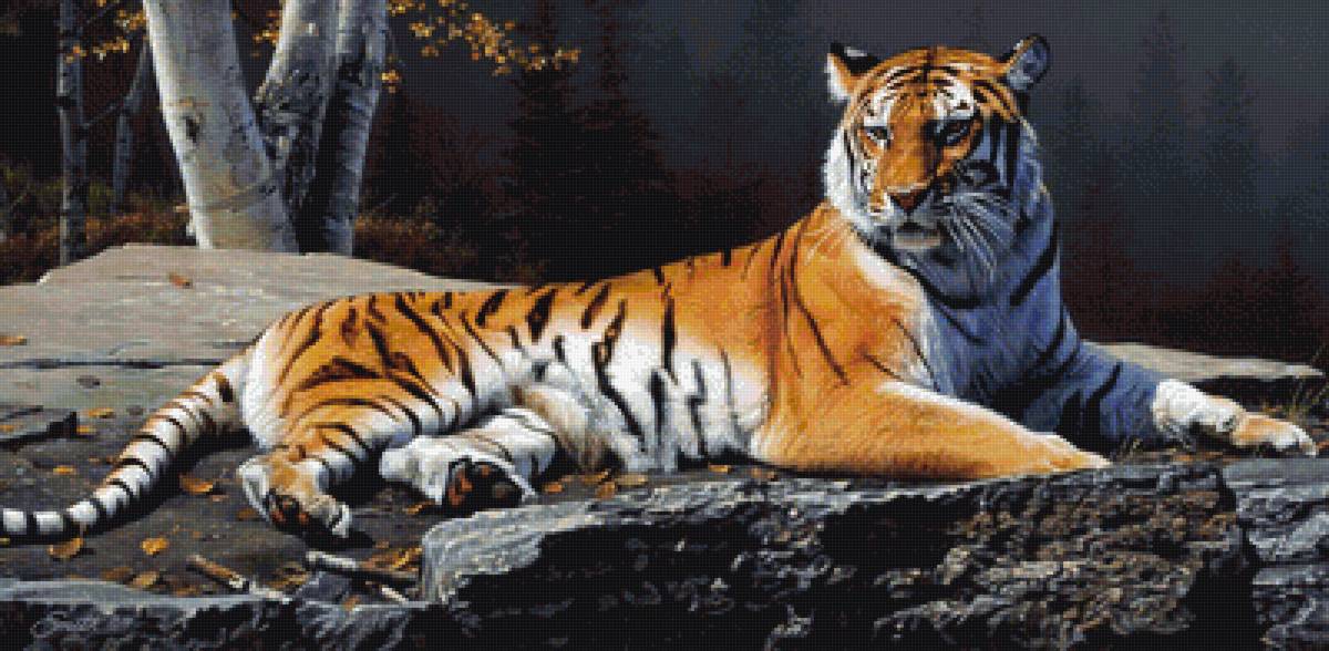 Тигр - животные - предпросмотр