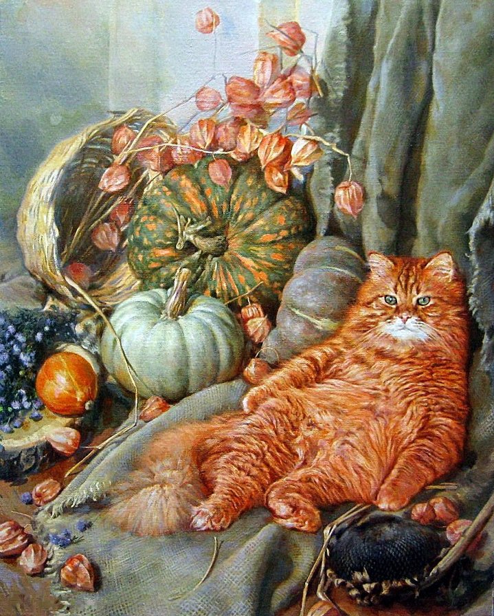 Кот - животные - оригинал