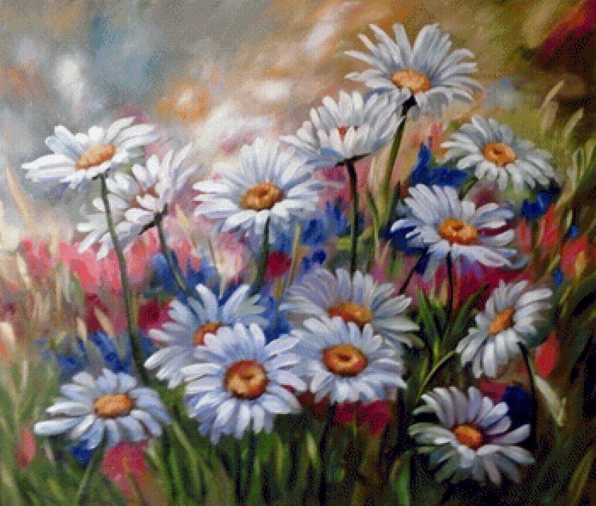 margerytki - предпросмотр