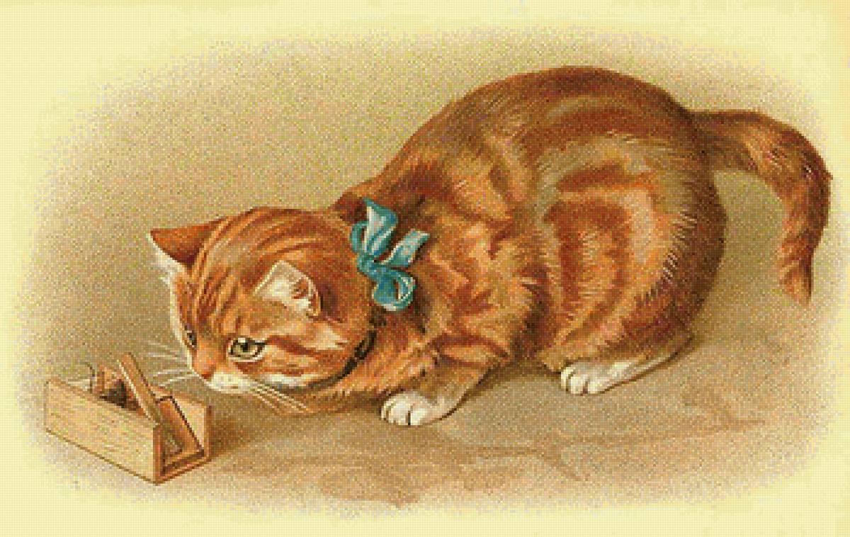 Кот - животные - предпросмотр