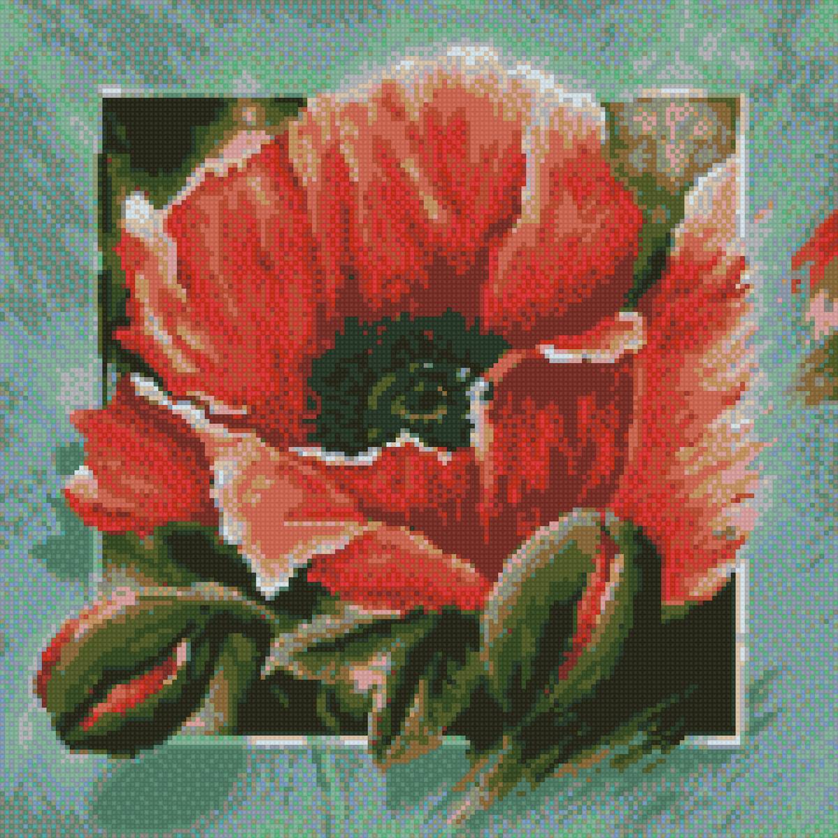 мак - предпросмотр