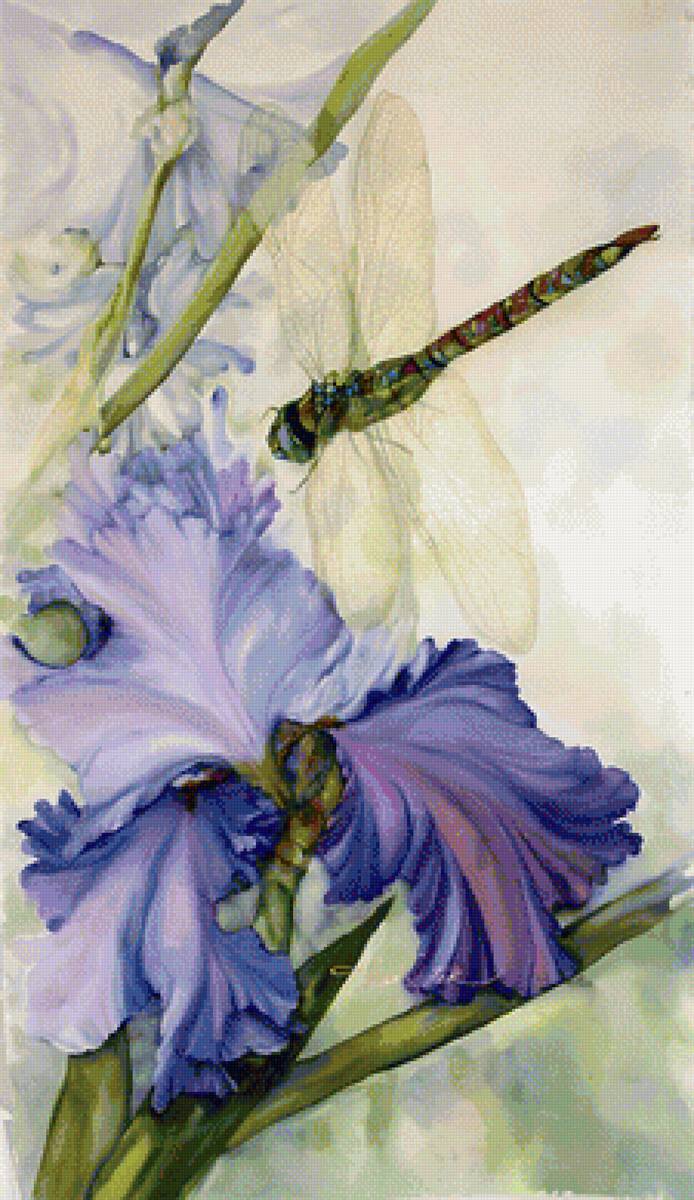 Стрекоза - предпросмотр