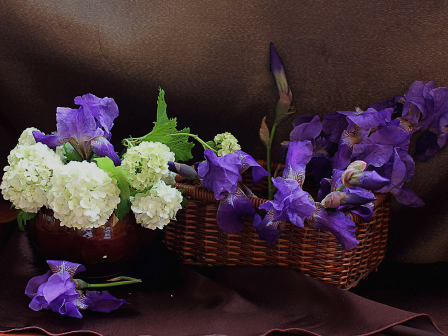 Ирисы - оригинал