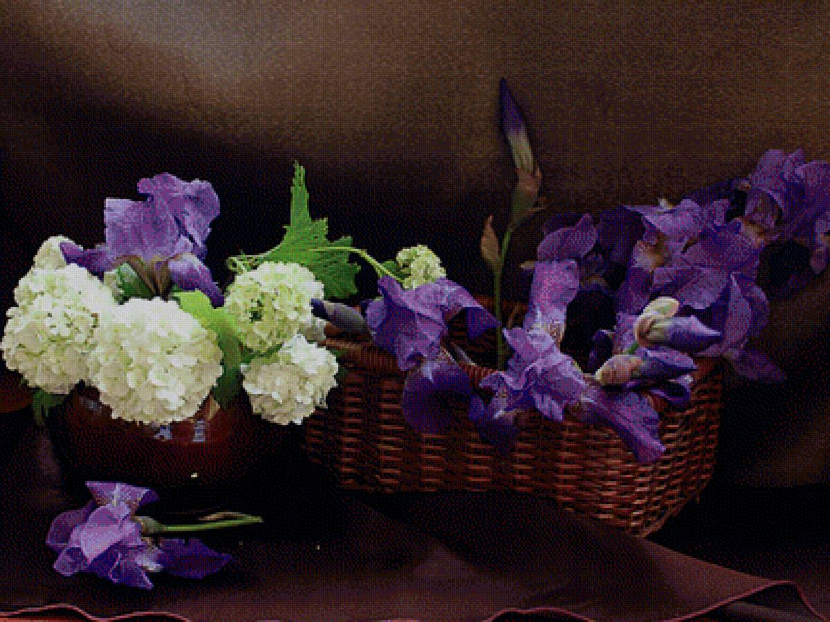 Ирисы - предпросмотр