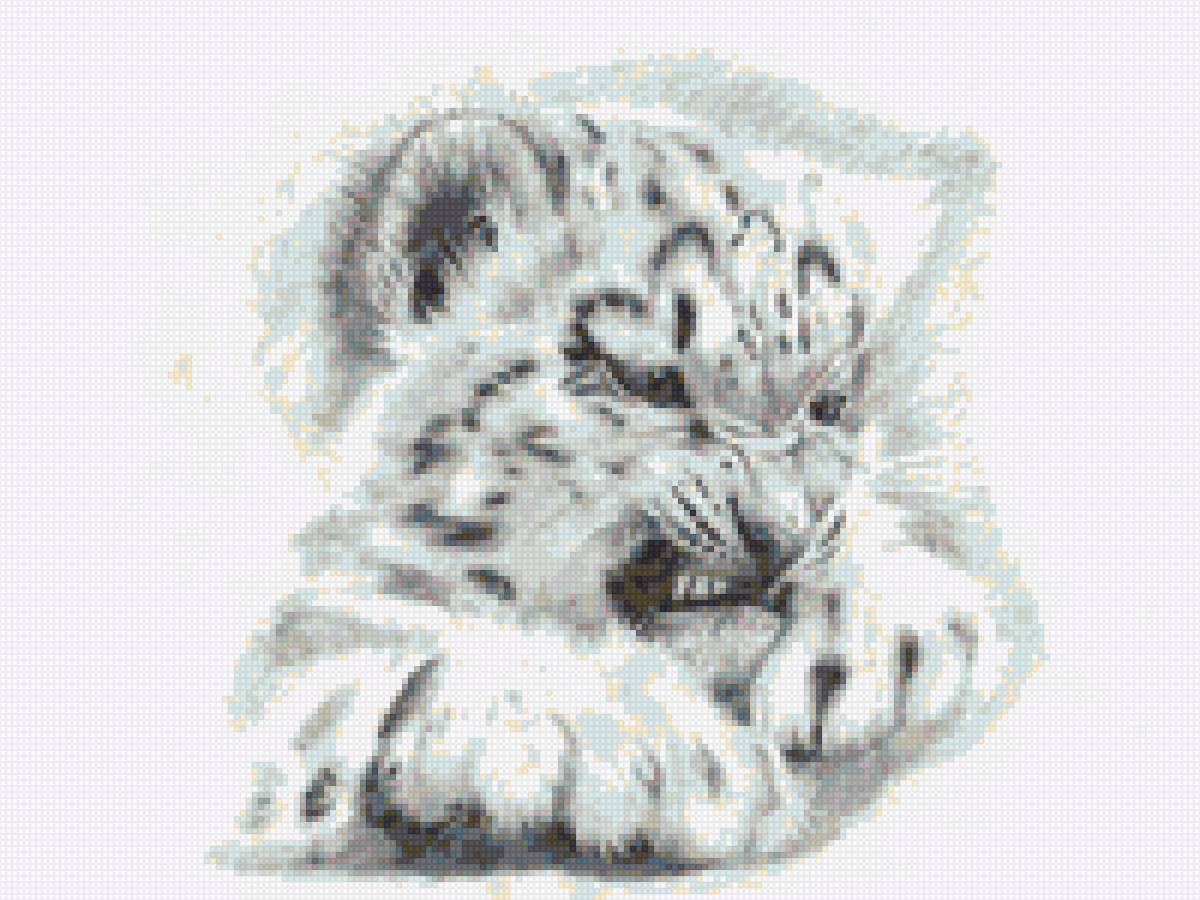 тигруля - звери, тигр - предпросмотр