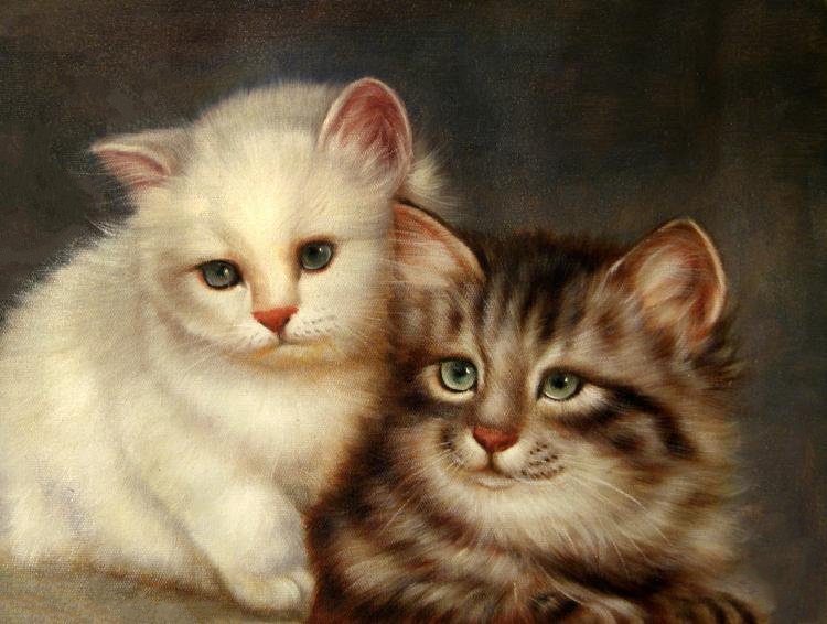 Котята - котята, домашние животные - оригинал