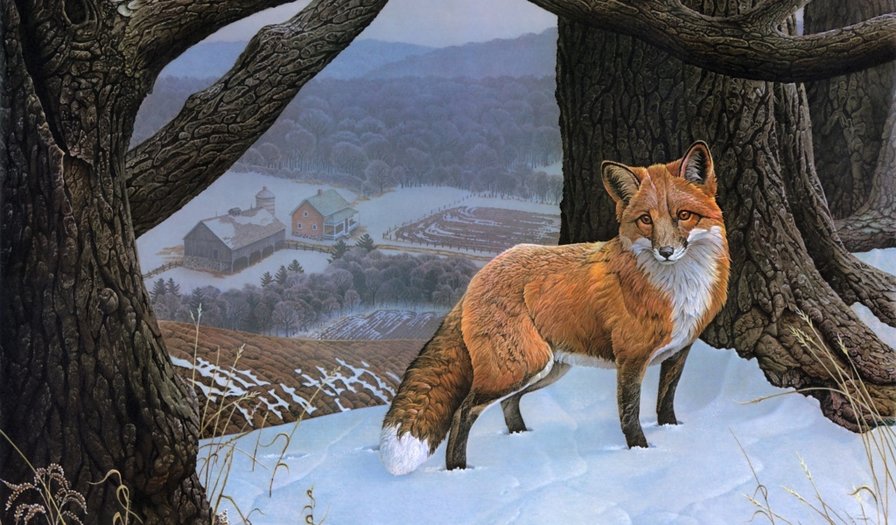 Лиса - оригинал