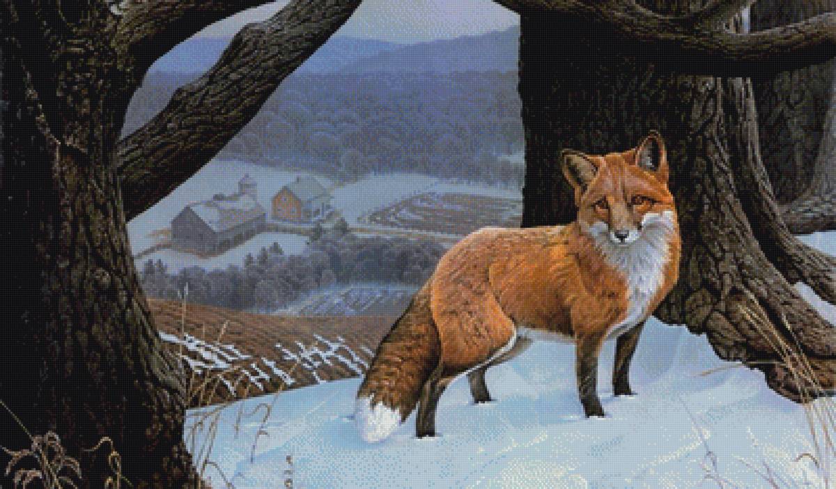 Лиса - предпросмотр