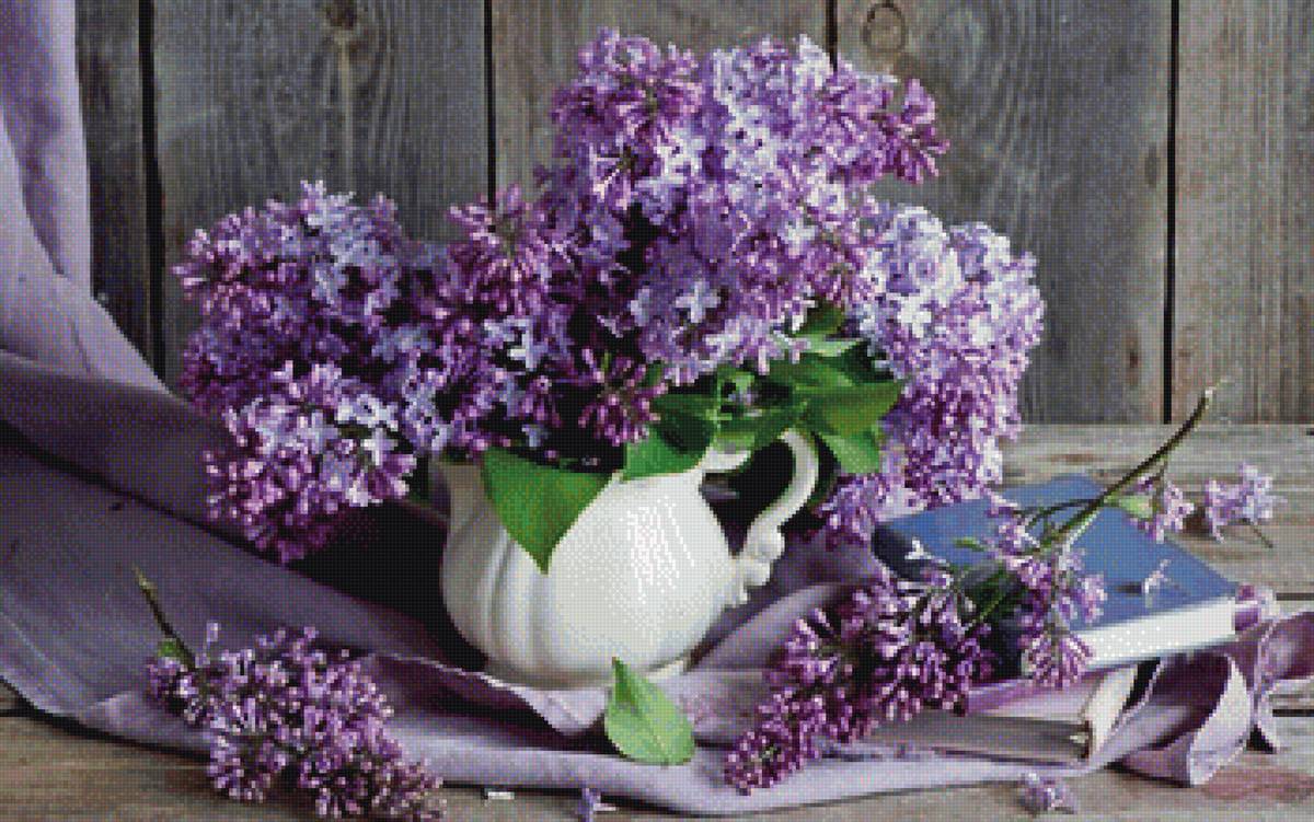 сирень - предпросмотр